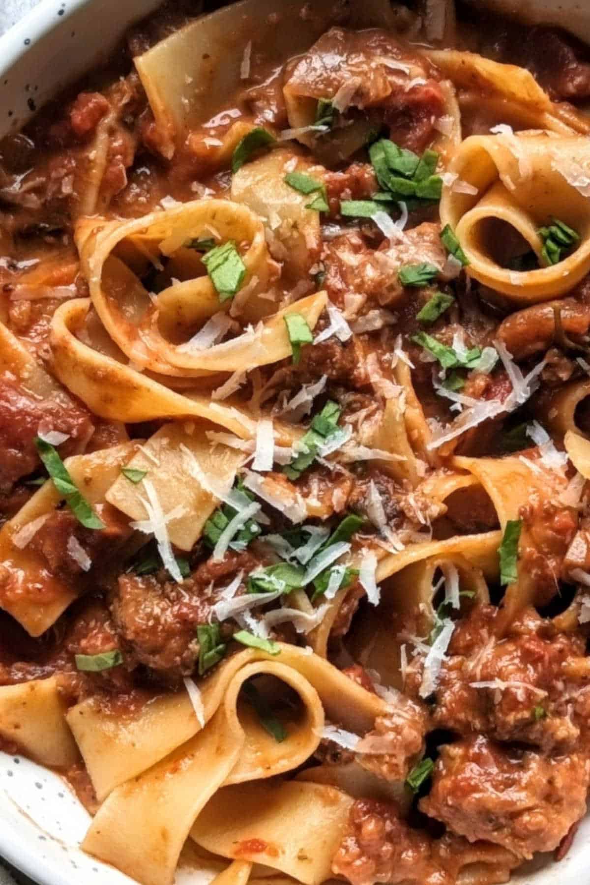Close up image of elk pasta.